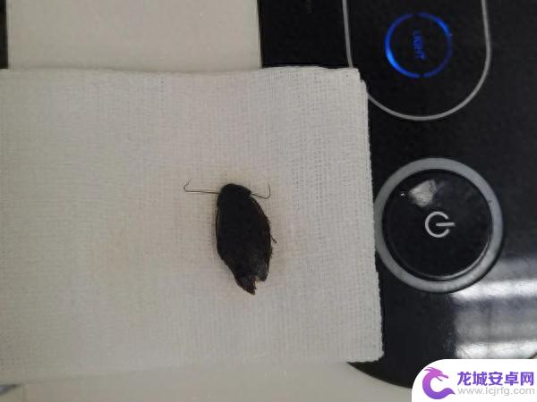 崩溃！半夜玩手机耳朵突然……医生：曾取出过一串