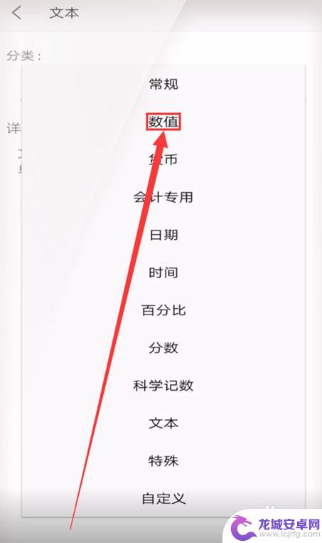 手机上怎么设置数字格式 手机WPS如何将文本转换为数字