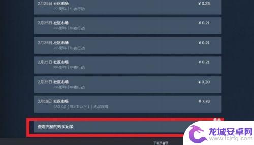 steam皮肤怎么购买记录 如何查看自己在STEAM市场的购买记录