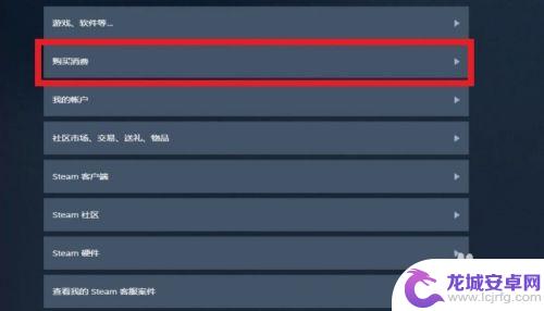 steam皮肤怎么购买记录 如何查看自己在STEAM市场的购买记录
