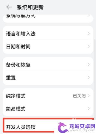 华为手机强制进入开发者模式 如何在华为手机上进入开发者选项