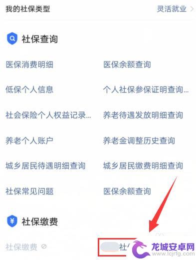 参保凭证在手机哪里查询 手机支付宝社保缴费记录如何查看