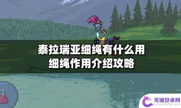 泰拉瑞亚蓝色绳子 泰拉瑞亚细绳有什么作用