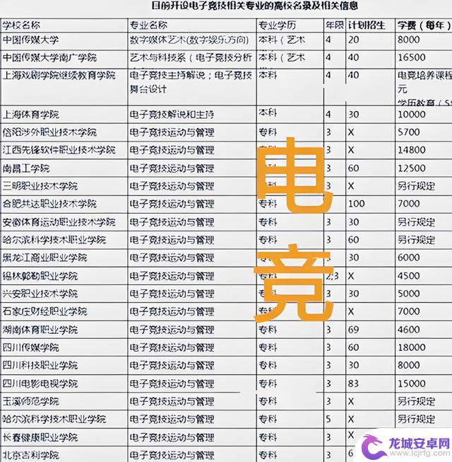VKG夺冠之路:背后的坚持与燃情述说