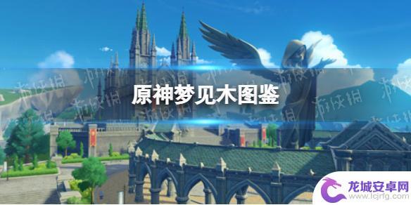 原神梦见木可以做什么 《原神手游》梦见木图鉴功能介绍