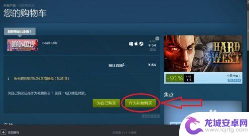 steam怎么市场送东西 如何使用Steam市场进行饰品交易