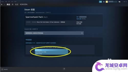 steam上买的dlc可以退款吗 Steam购买的DLC如何退款