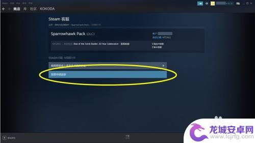 steam上买的dlc可以退款吗 Steam购买的DLC如何退款