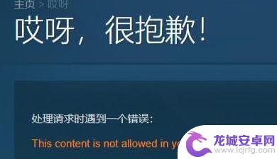 怎么在steam玩黄游 Steam如何设置仅限成人账号