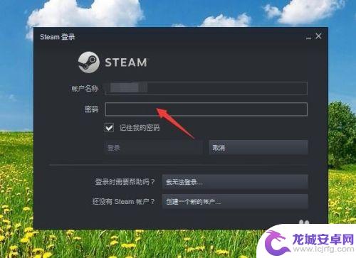 steam安装上无法运行怎么办 steam安装后无法更新游戏