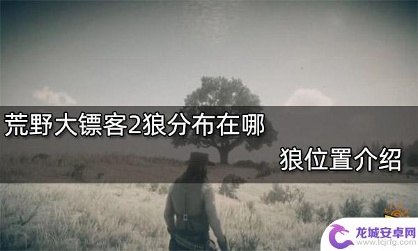 荒野大镖客2野狼位置 狼在荒野大镖客2中的位置