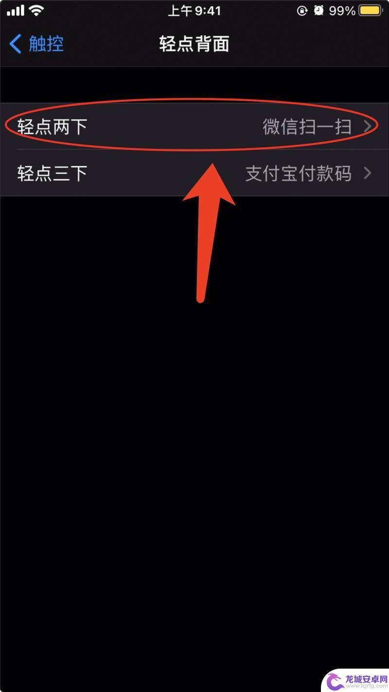 苹果手机怎么设置背面支付 iOS 14 付款码 快速打开方法