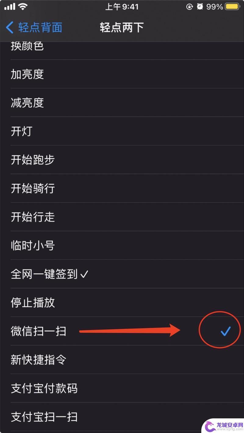 苹果手机怎么设置背面支付 iOS 14 付款码 快速打开方法