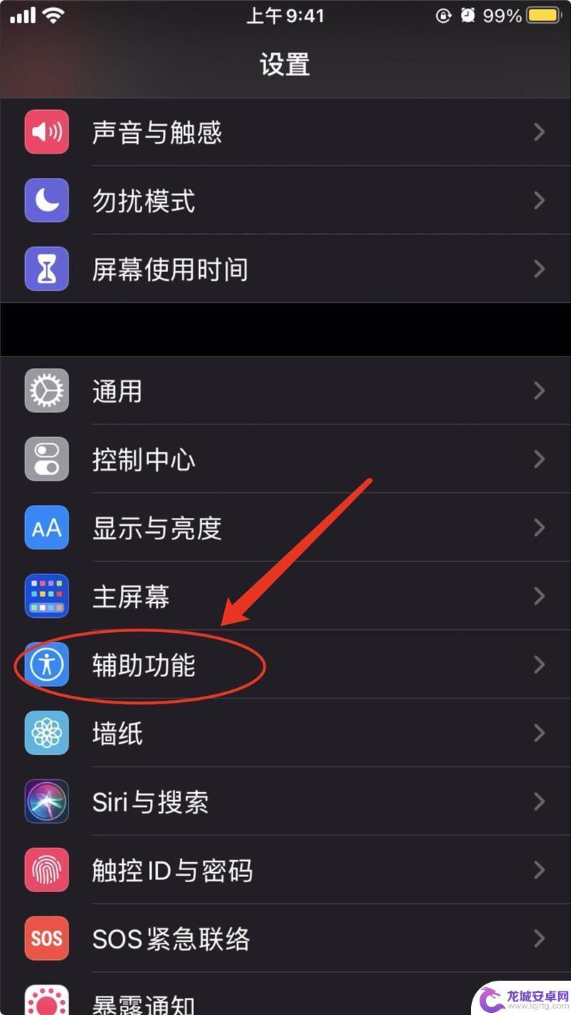 苹果手机怎么设置背面支付 iOS 14 付款码 快速打开方法