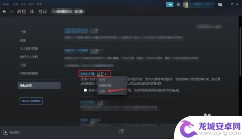 steam好友能看到你库里的游戏吗 Steam设置不让好友看到拥有游戏