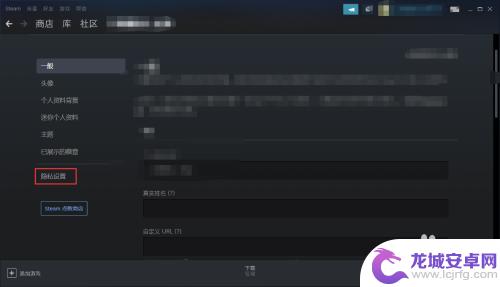 steam好友能看到你库里的游戏吗 Steam设置不让好友看到拥有游戏