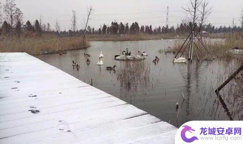 手机怎么拍建筑雪景 手机拍摄雪景的实用技巧指南