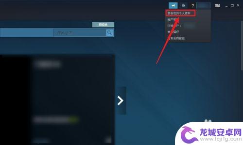 steam个人隐私 Steam隐私设置教程
