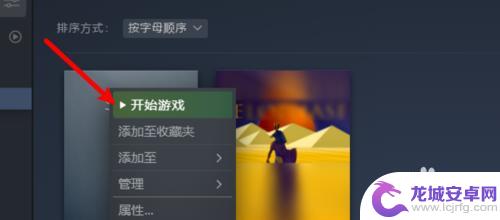 steam游戏怎么在库中隐藏 steam库隐藏游戏如何打开