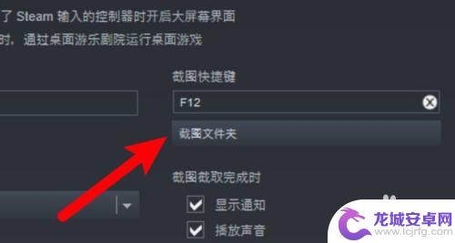 steamf12截图保存后看不到 steamf12截图找不到怎么办