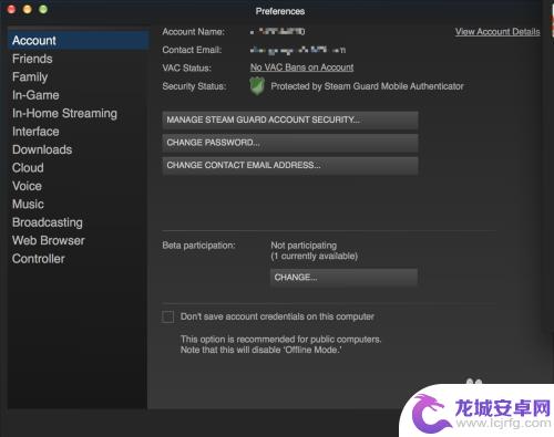 steam中文版 mac Mac Steam如何设置中文界面