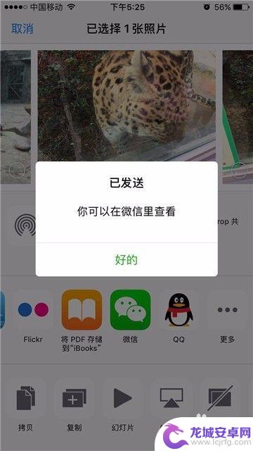 手机照片转发 iPhone手机怎么直接在相册中分享照片到微信