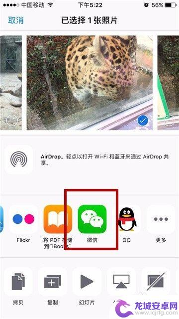 手机照片转发 iPhone手机怎么直接在相册中分享照片到微信