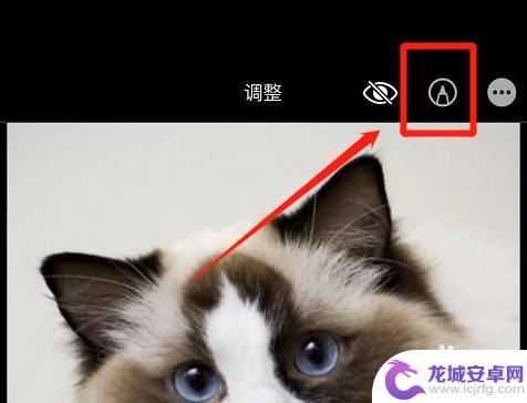 苹果手机照片打字怎么弄 苹果手机如何在图片上添加文字