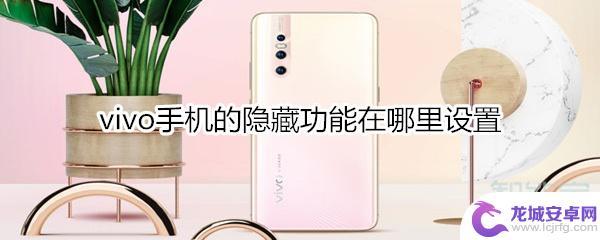 vivo手机怎么隐藏功能设置 vivo手机隐藏功能设置方法