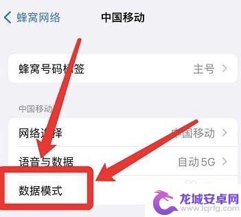 苹果手机标准模式在哪里设置 如何在苹果手机上开启标准数据模式