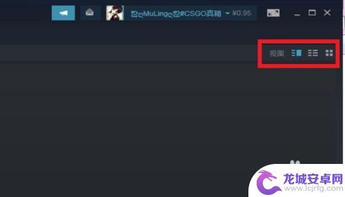 steam怎么更改库的视图 STEAM游戏库视图切换步骤