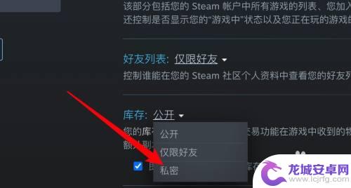 steam库存设置隐私 在Steam上如何设置库存为私人状态不让他人浏览