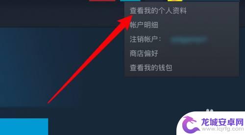 steam库存设置隐私 在Steam上如何设置库存为私人状态不让他人浏览