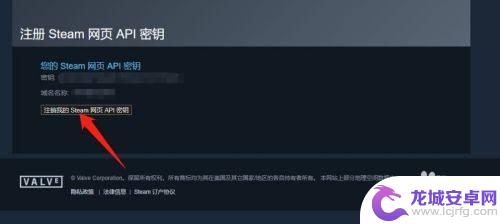 域名名称steam steam域名名称如何填写中文