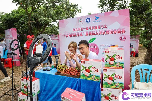 手机在荔枝树下焕发新农具的光芒
