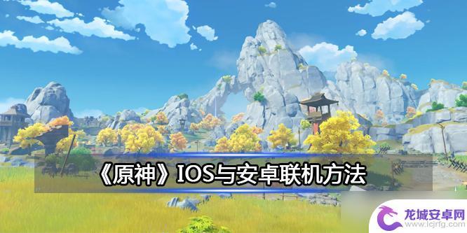 原神苹果系统和安卓系统可以加好友吗 《原神》IOS和安卓版本联机步骤详解