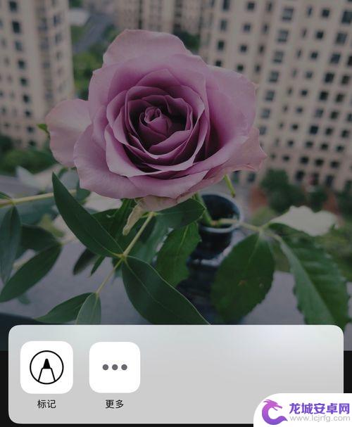 苹果手机照片上如何画圈 在苹果手机上如何给图片画圈标记
