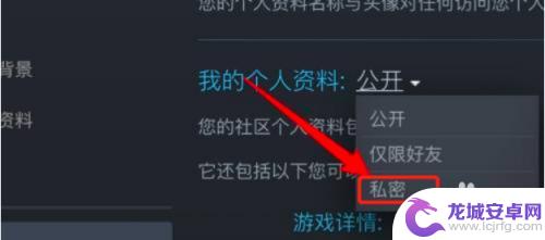 steam动态不能隐藏 Steam如何隐藏我的游戏动态