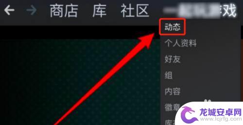 steam动态不能隐藏 Steam如何隐藏我的游戏动态