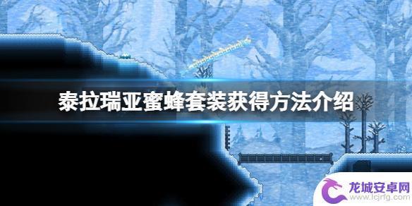 泰拉瑞亚蜜蜂池该怎么搭 泰拉瑞亚蜜蜂套装合成方法