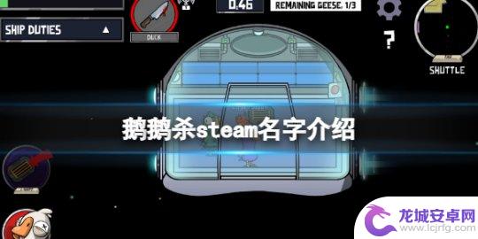 steam鹅鸭杀叫什么 《鹅鸭杀》steam中文名字是什么