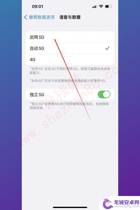 手机5g开关怎么开 5G手机怎么开