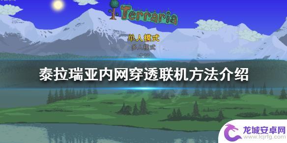 pe泰拉瑞亚怎么联机 泰拉瑞亚局域网联机方法