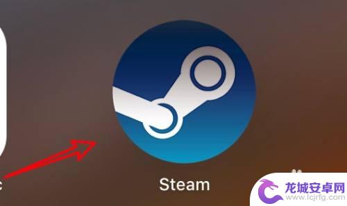 steam怎么把图片导入聊天栏 如何在Mac steam聊天中插入图片