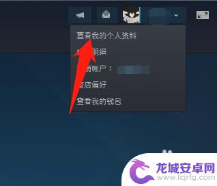 steam封禁怎么不让别人看见 怎样设置Steam好友看不到自己在玩什么游戏