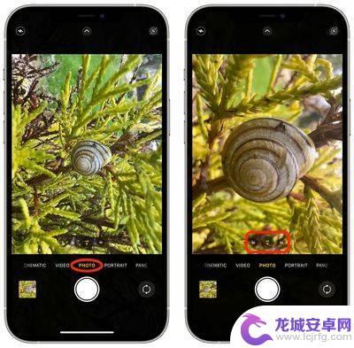 苹果手机怎么微距对焦 iPhone12微距拍摄无法对焦的解决方法