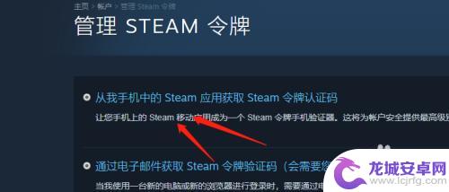 如何看电脑steam令牌 Steam令牌怎么用