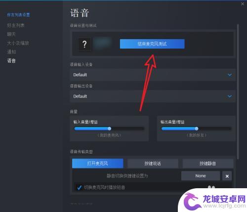 steam 麦登 steam游戏语音测试