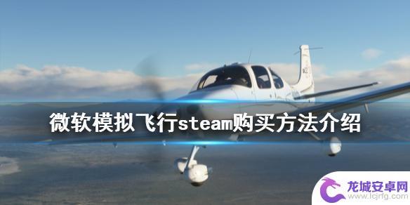 如何用steam连接模拟飞行 《微软模拟飞行2020》steam下载方法介绍