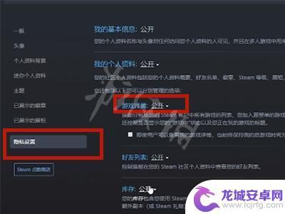 steam怎么不让好友看自己游戏 steam怎么隐藏游戏不让好友看到